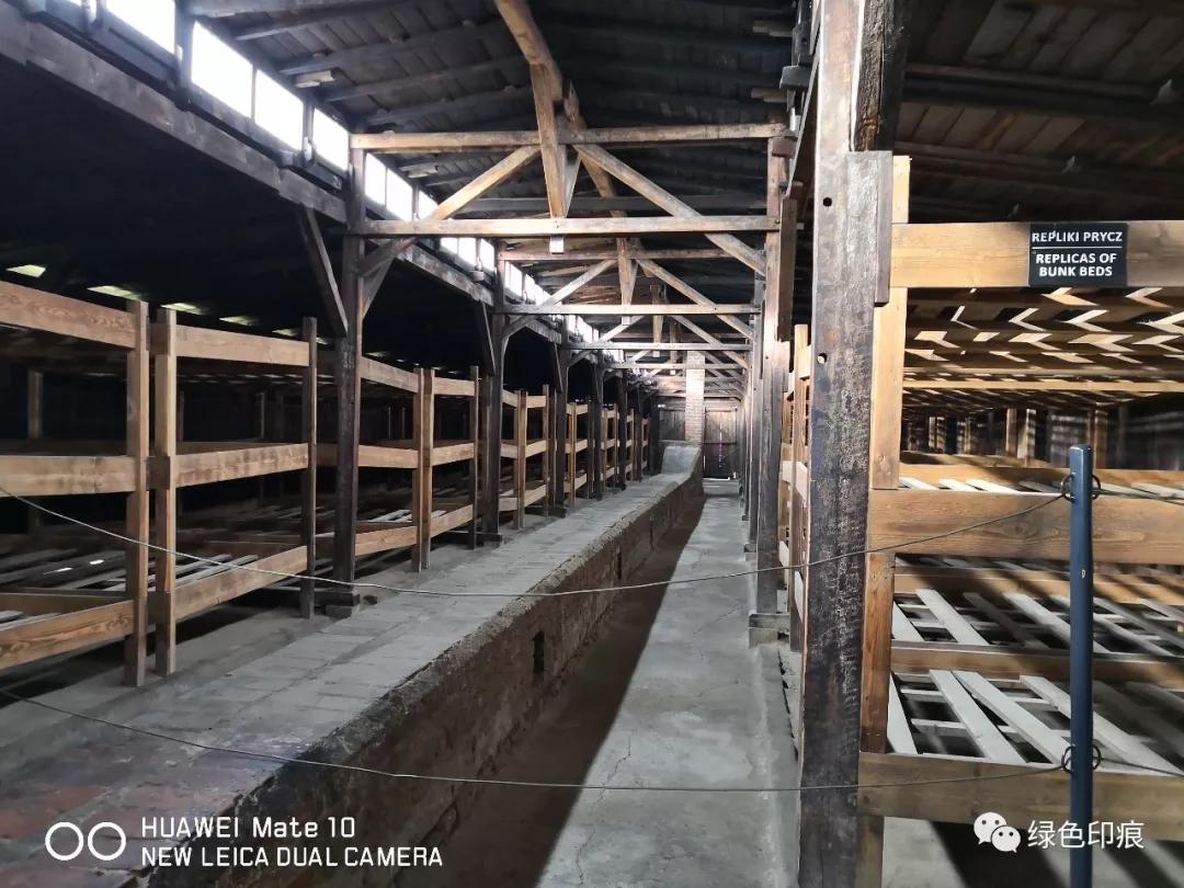 奥斯维辛集中营旅游,奥斯维辛集中营雏菊