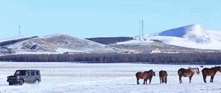 鍫瘮鐟炲+鐨勪腑鍥芥粦闆満,濯茬編鐟炲+