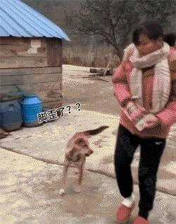 女人遇到狼怎么办,女孩遇见色狼如何自救