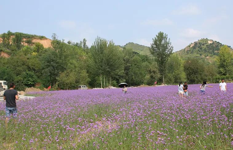 秦岭深处绝美村落,秦岭深处一座美丽的世外桃源