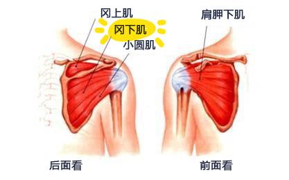 打球后肩膀痛怎么缓解,打球肩膀疼一招搞定