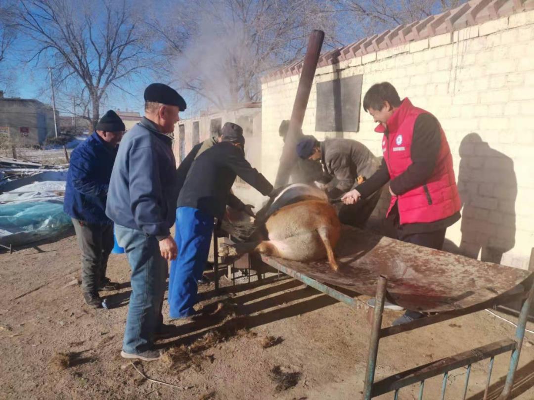 【固阳县】【固阳县新时代文明实践一周快讯】