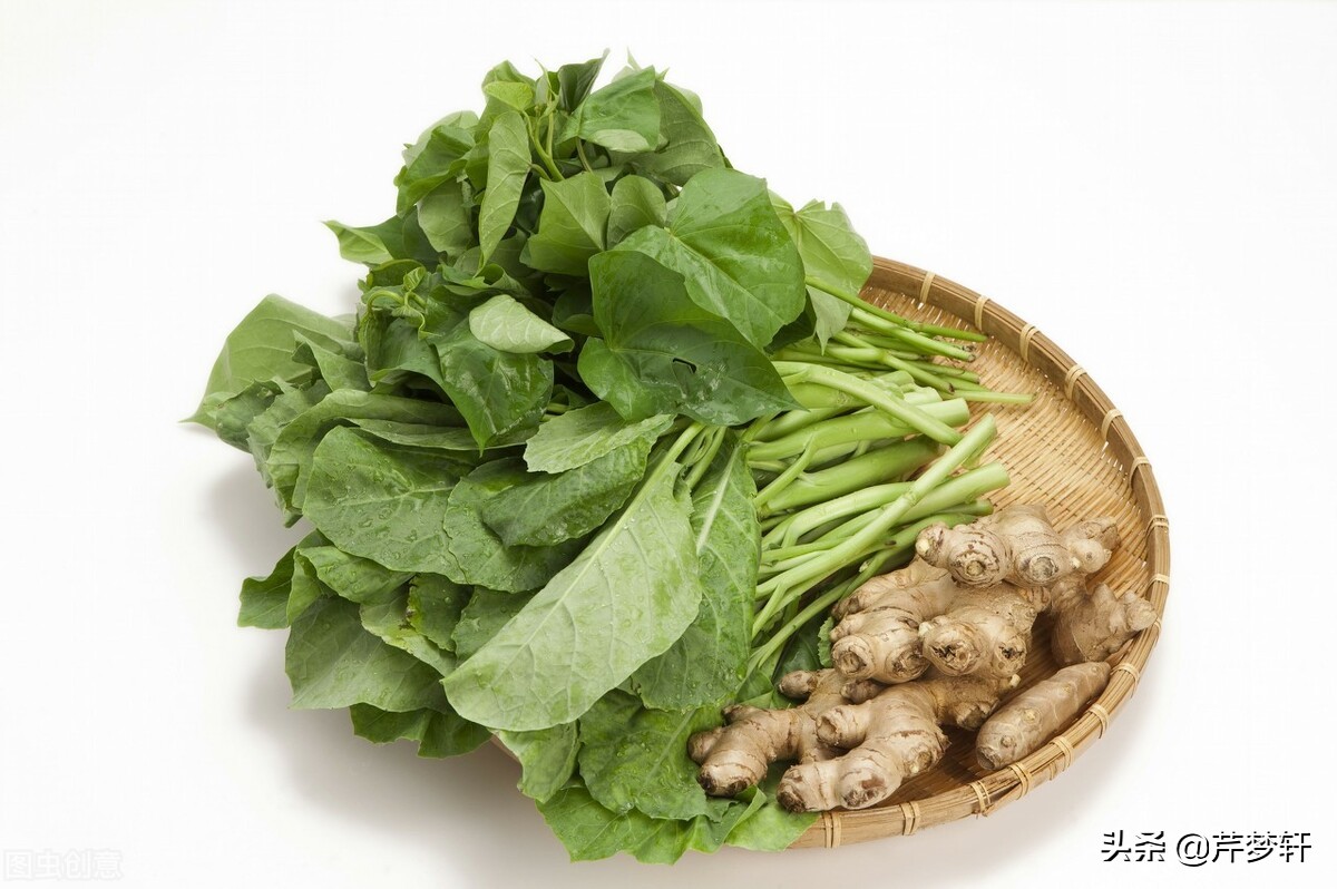 红楼梦诗社完整版,红楼诗社