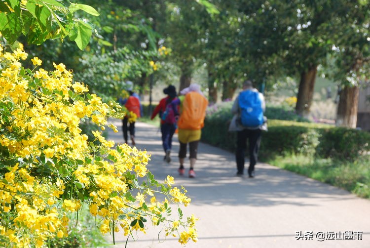 昆明嘉丽泽旅游景区,昆明嘉丽泽湿地露营