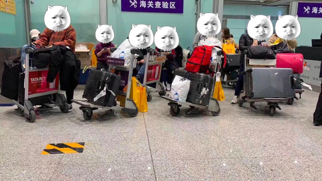 印度目前加入了rcep组织吗,印度什么时候退出了rcep