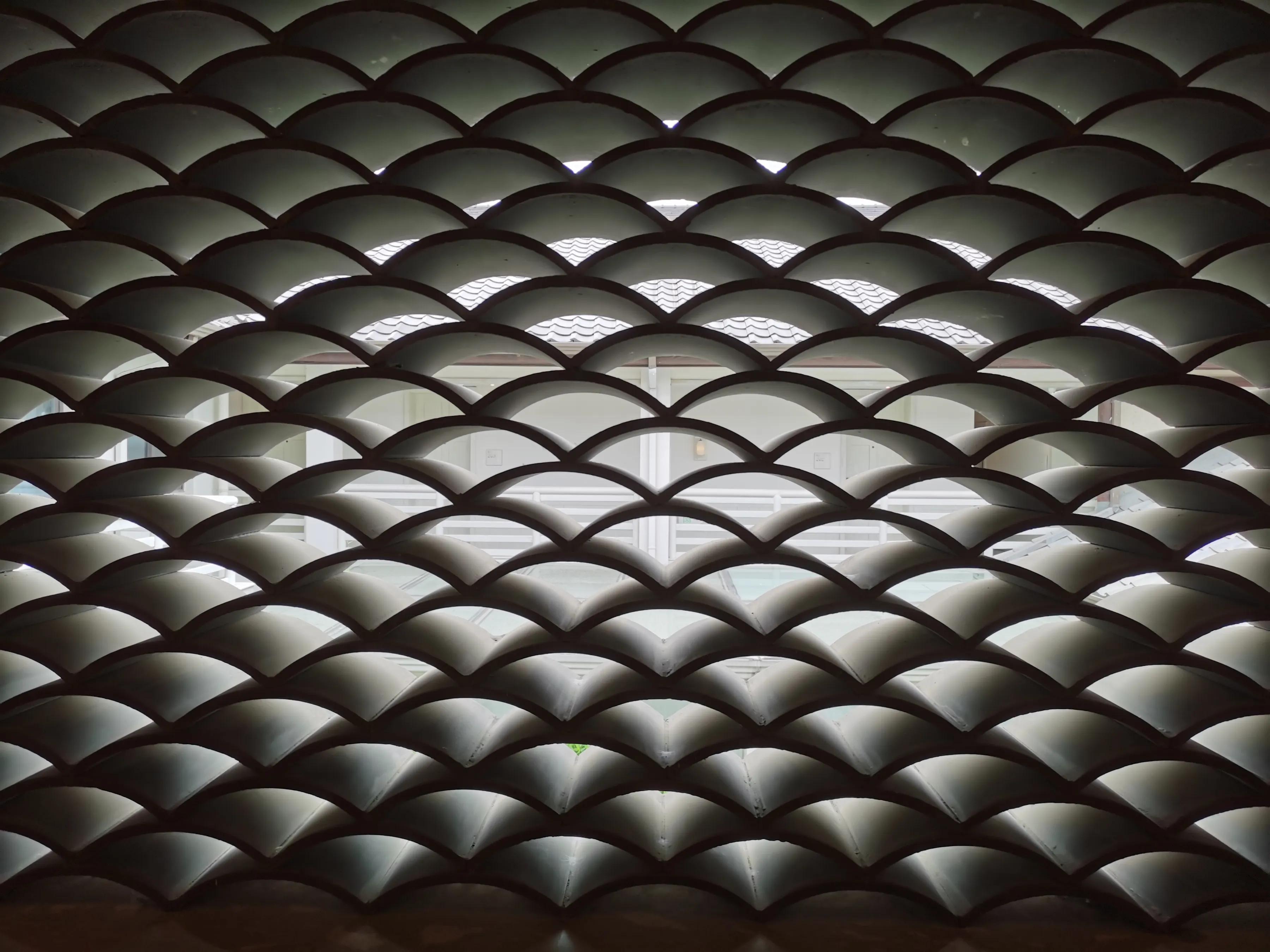 手拍世界（手机摄影平台）-群员作品集（总第671期）