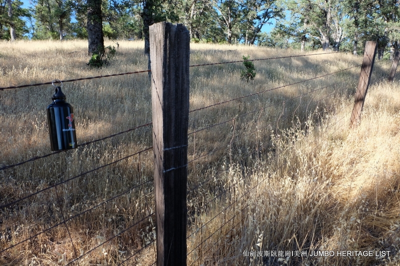 第3045回：人生一世草生一春，来如风雨去似微尘