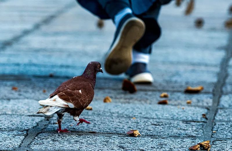 学佛之人怎么处理与别人争吵,情感心理问题解决方法