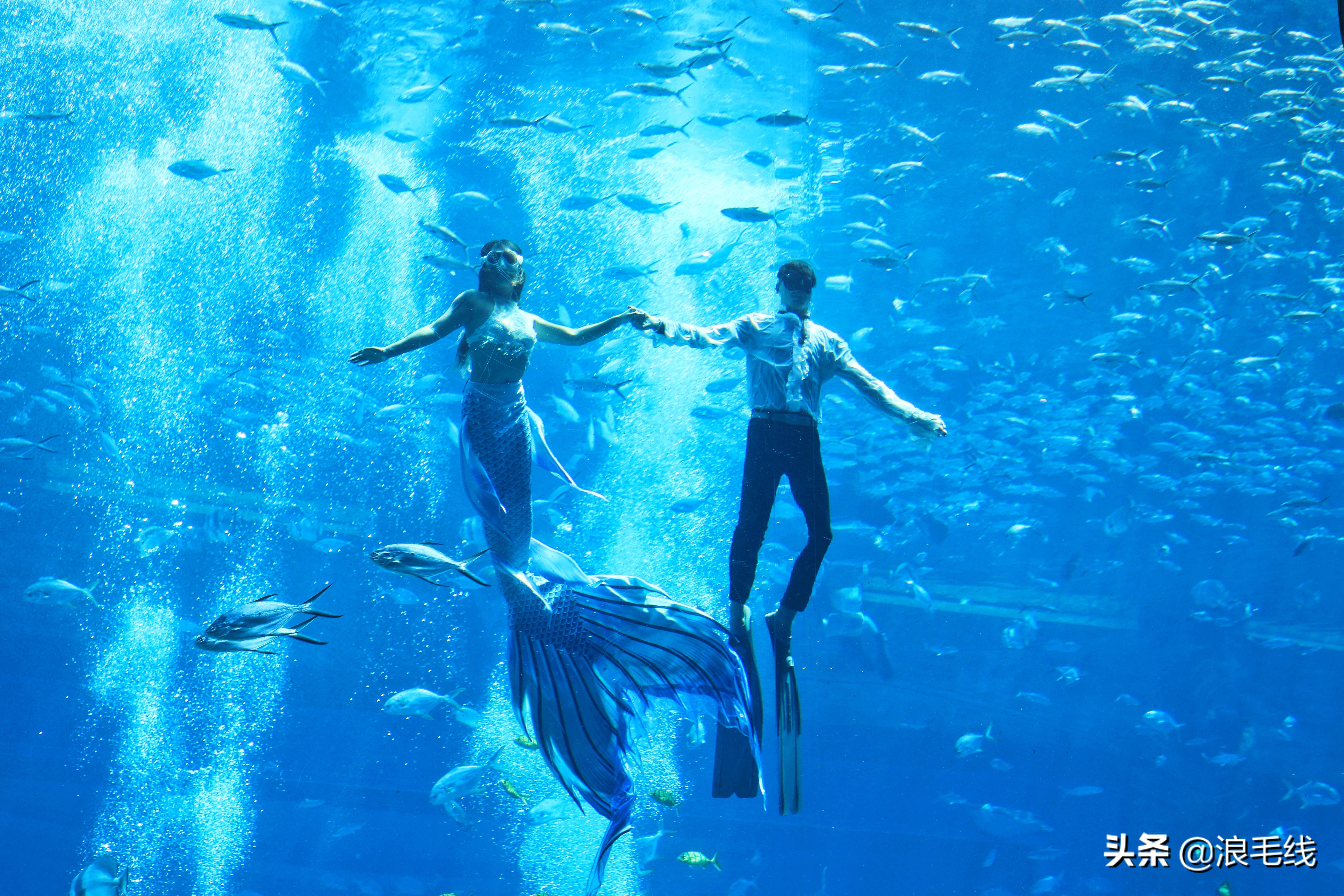 三亚海棠湾自由行热门攻略,三亚四天三夜海棠湾自由行攻略