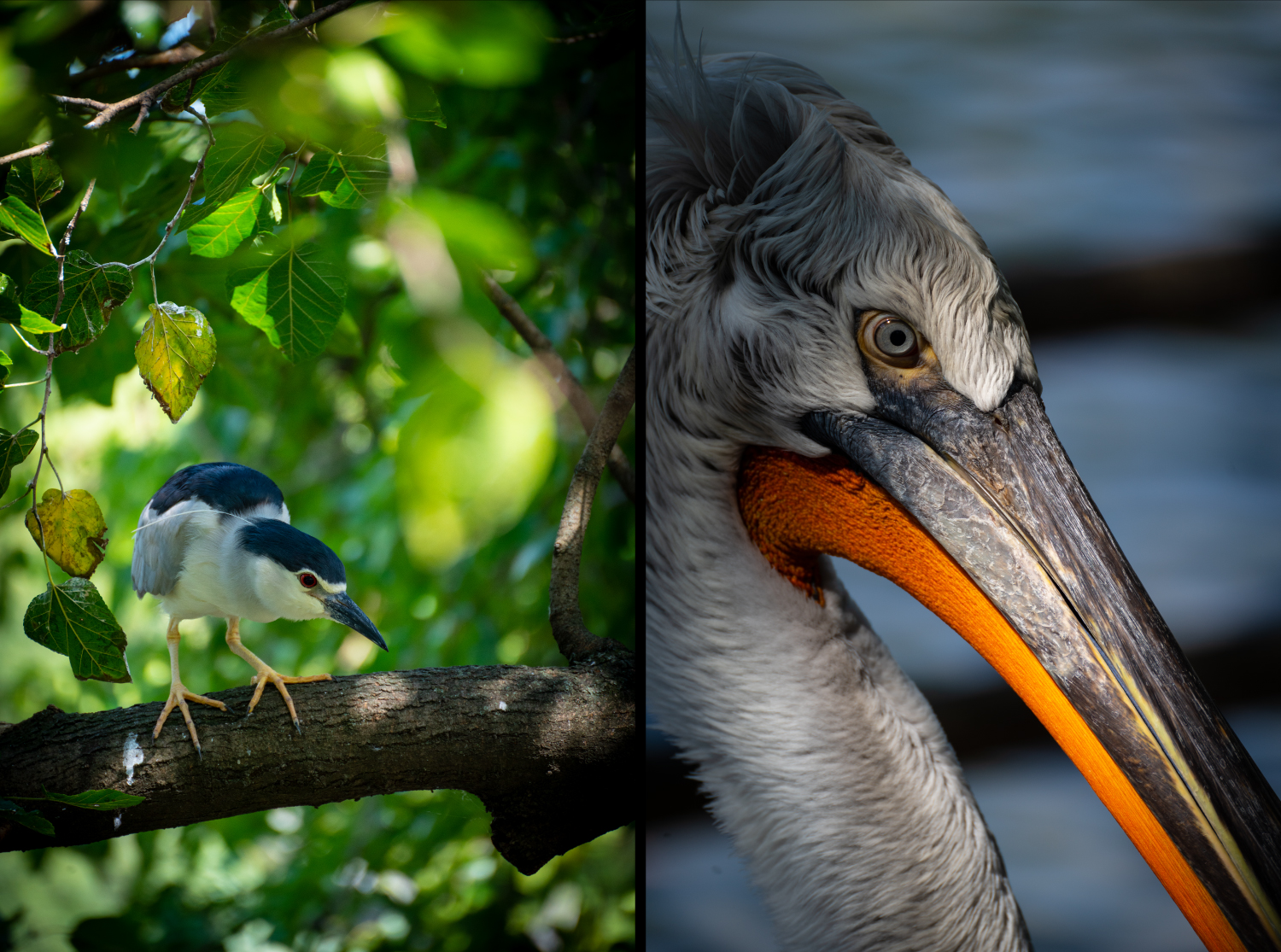 全画幅腾龙70-300,腾龙70-300e卡口