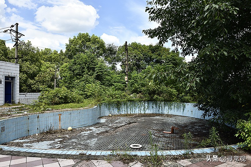 探秘重庆被人遗忘的废墟,被植物吞噬的小区