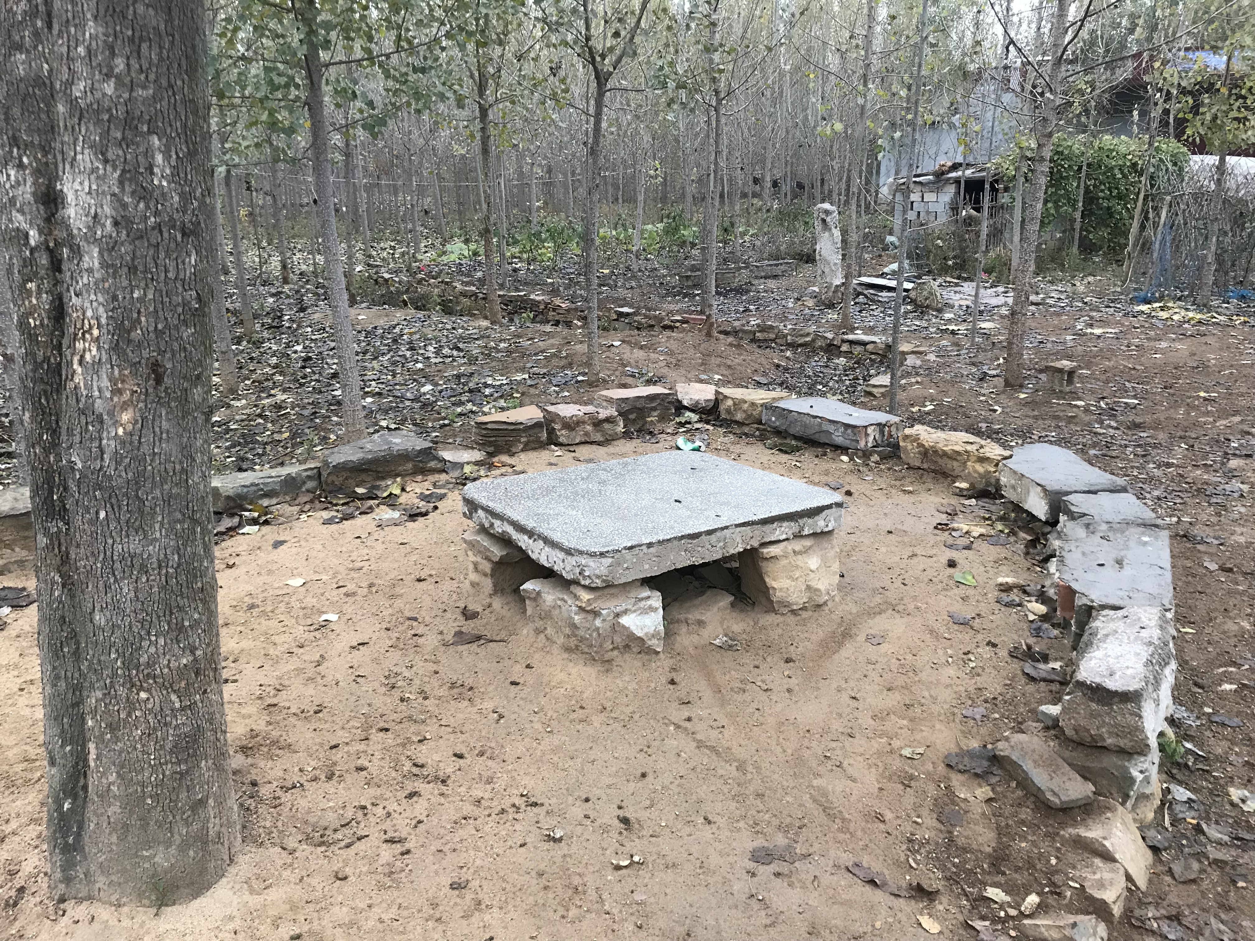 家里有几亩地种什么划算呢,有一亩地种什么省事