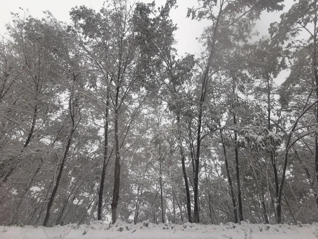 平凉崆峒区四路车现在停运了吗,平凉长途客车停运了吗