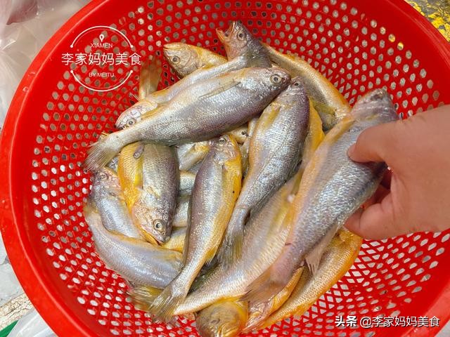 泉州休渔期什么时候结束,泉州休渔期2022时间表