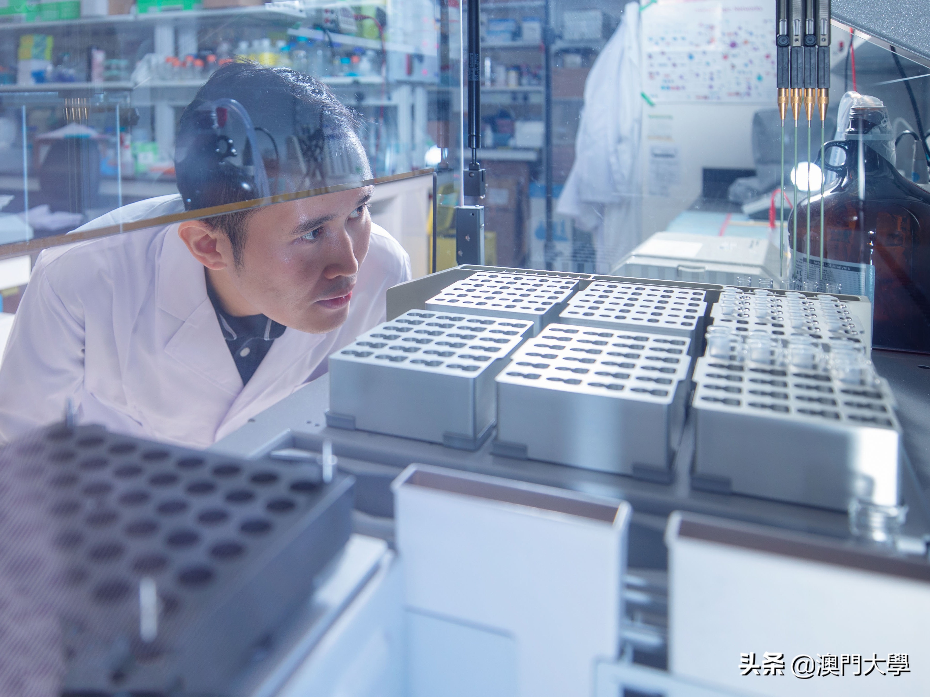 新型抗体治疗免疫系统衰老,新型抗磷脂抗体