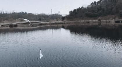 成都世界最大的公园,成都大公园游玩