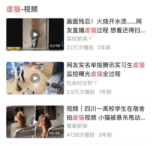 为什么要打完疫苗才能给宠物绝育,为什么这么多人都想给宠物做绝育