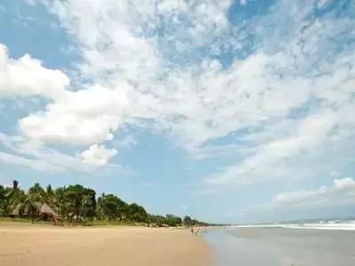 巴厘岛鸟园旅游攻略,大连至巴厘岛旅游自由行攻略