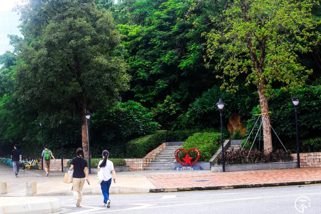 塘朗租房贵吗,西丽塘朗房租