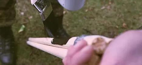 德国战车现状真实的,德国战车是怎么回事