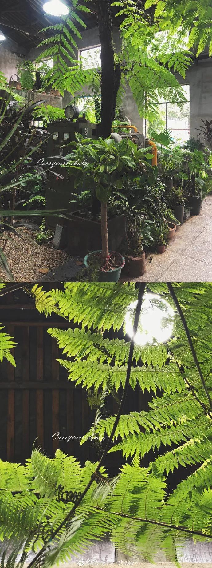 福州复古咖啡探店,福州小众咖啡馆推荐