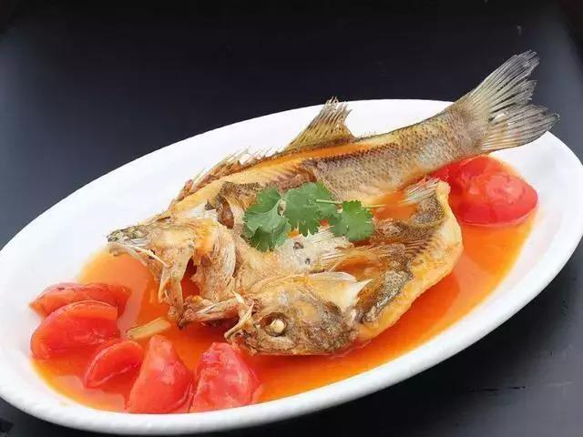 大厨教松鼠鱼制作全过程,松鼠鱼最好吃的做法