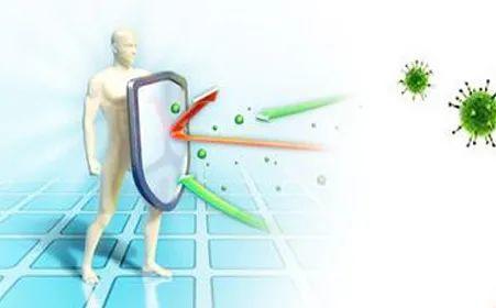 吃生蚝有没有增加人的抵抗力,生蚝玉米粥