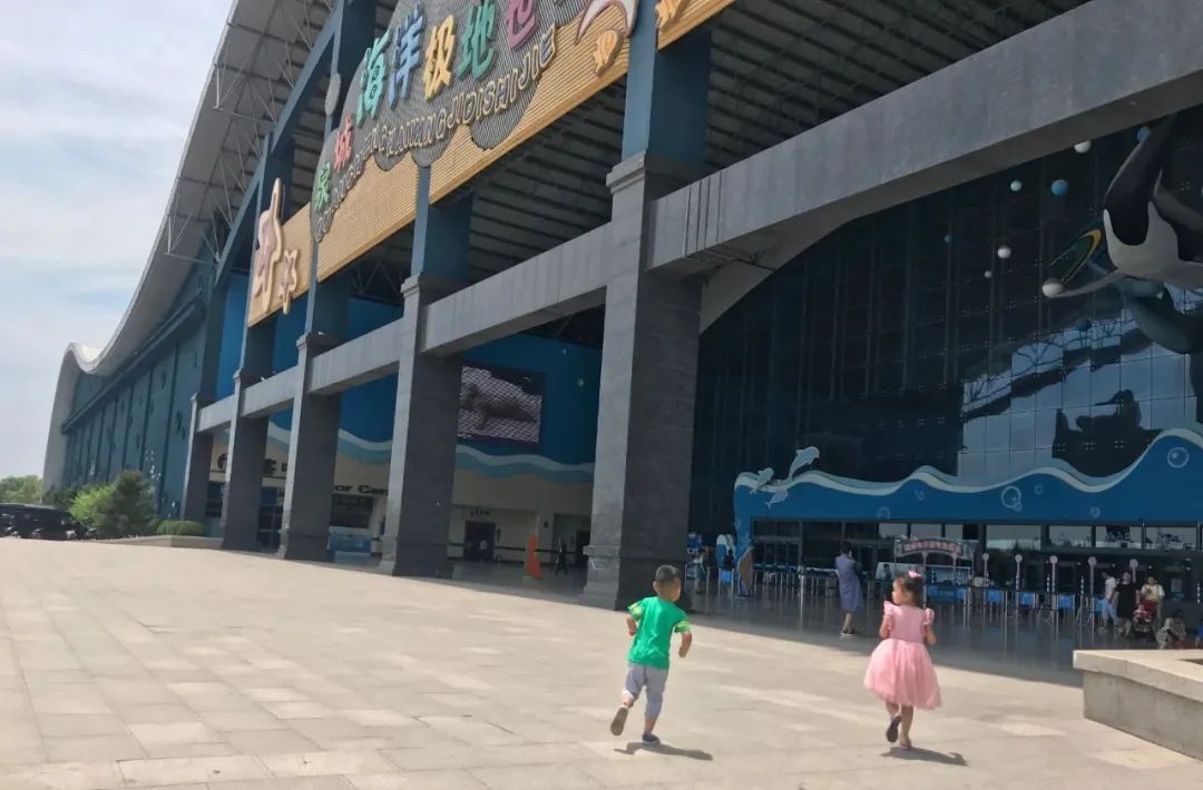 济南动物王国一日游详细攻略,济南一日游动物园