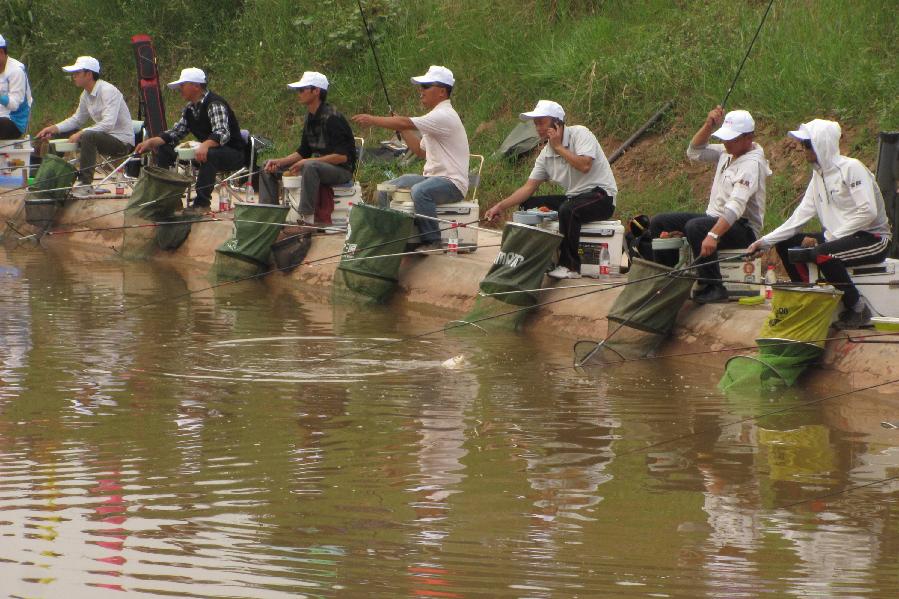 钓滑口鲤鱼怎么越钓越少,钓滑口鱼调高钓低还是调低钓高