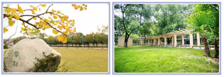 武汉外语外事职业学院出国,在武汉外语外事职业学院上学