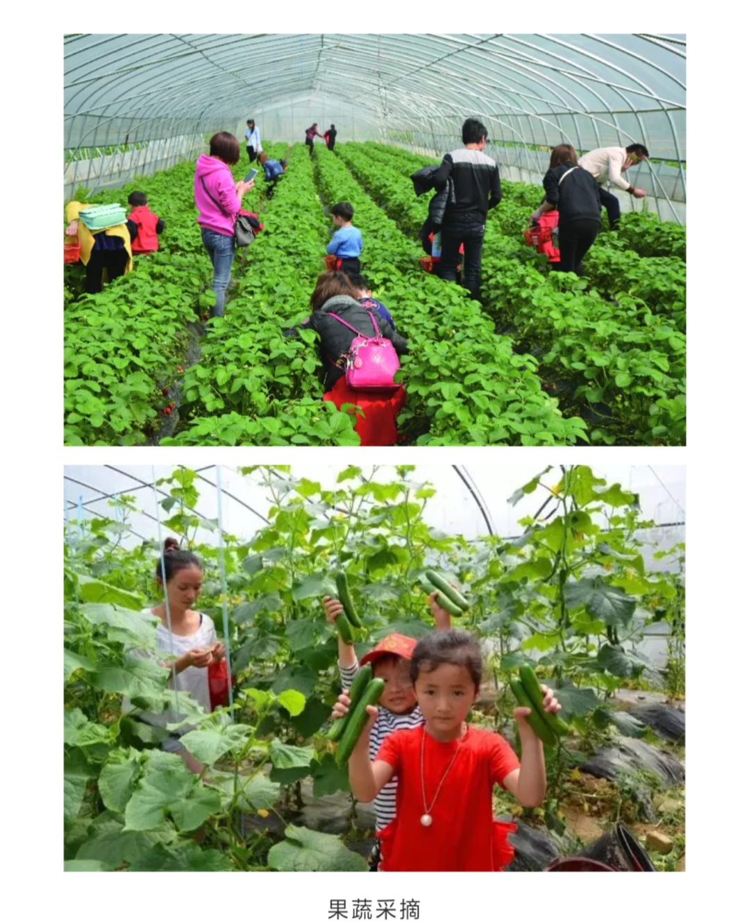 岳阳惠众农庄菜单,岳阳惠众农业研学基地