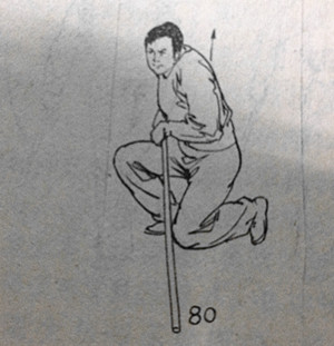 武术猴拳,武术猴拳视频