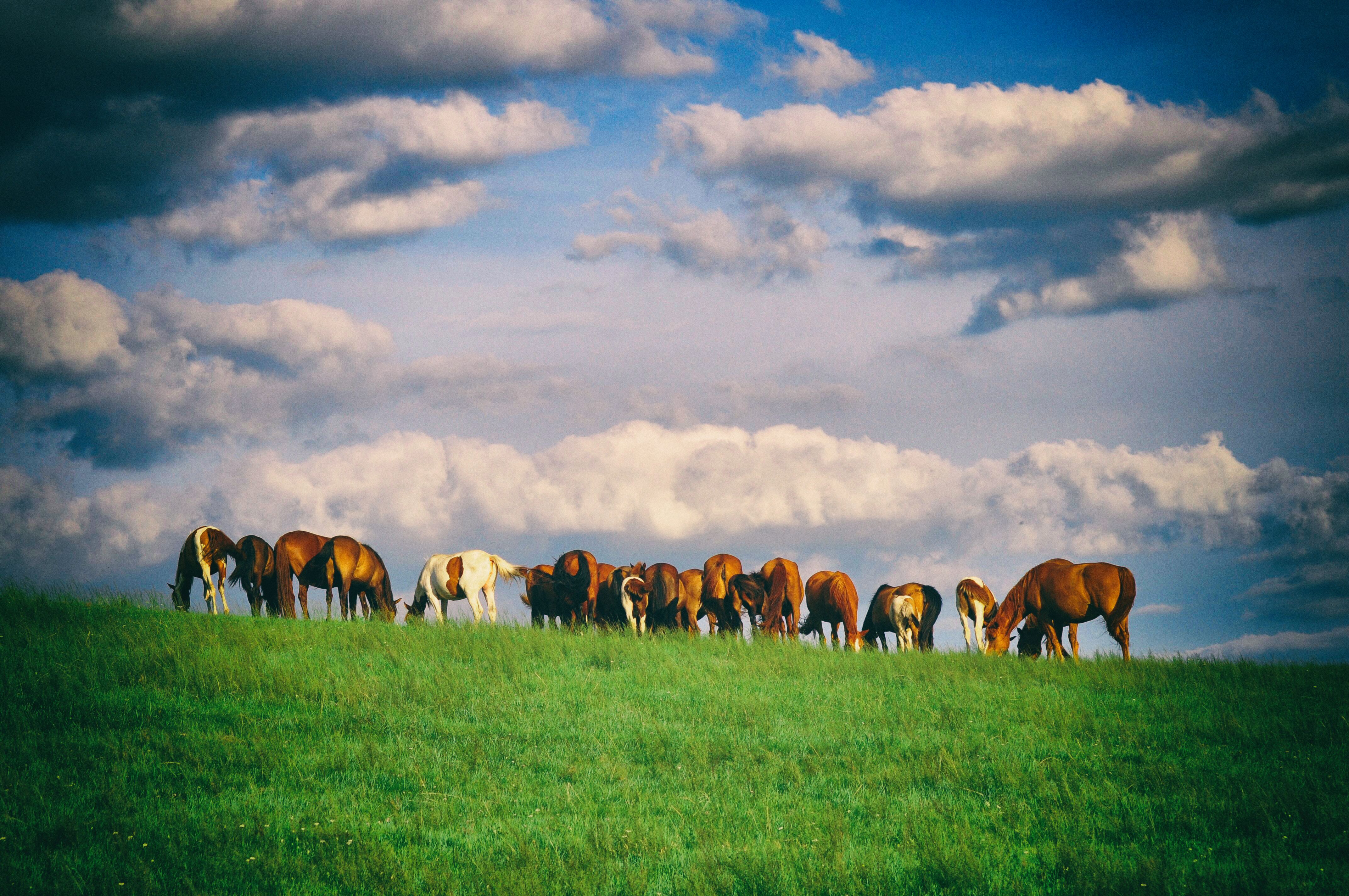 一次特别的东北旅行,历时18天的东北边境行