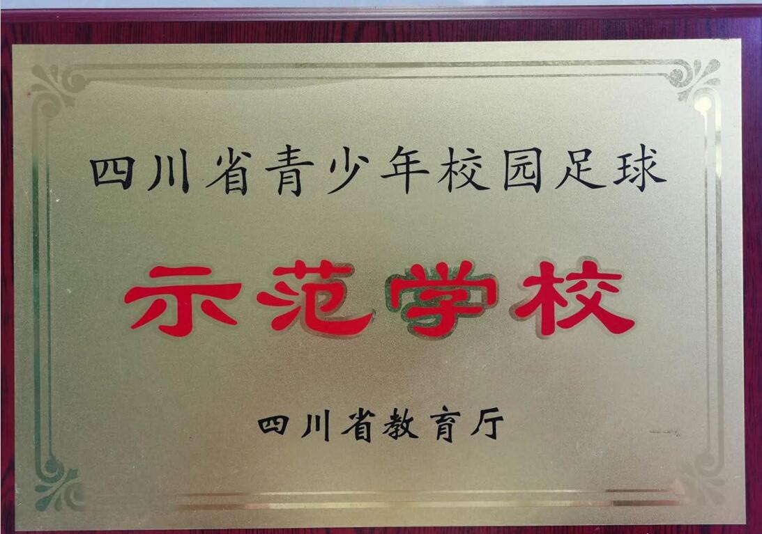 厉害！达州俩足球小子被恒大足球学校选中