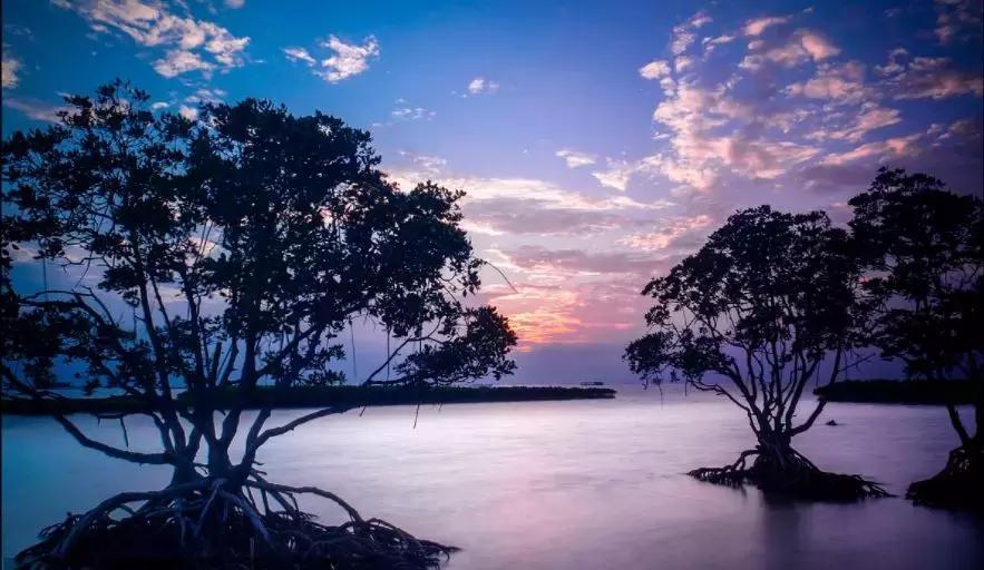 深海危机在哪上映,深海危机开拍仪式