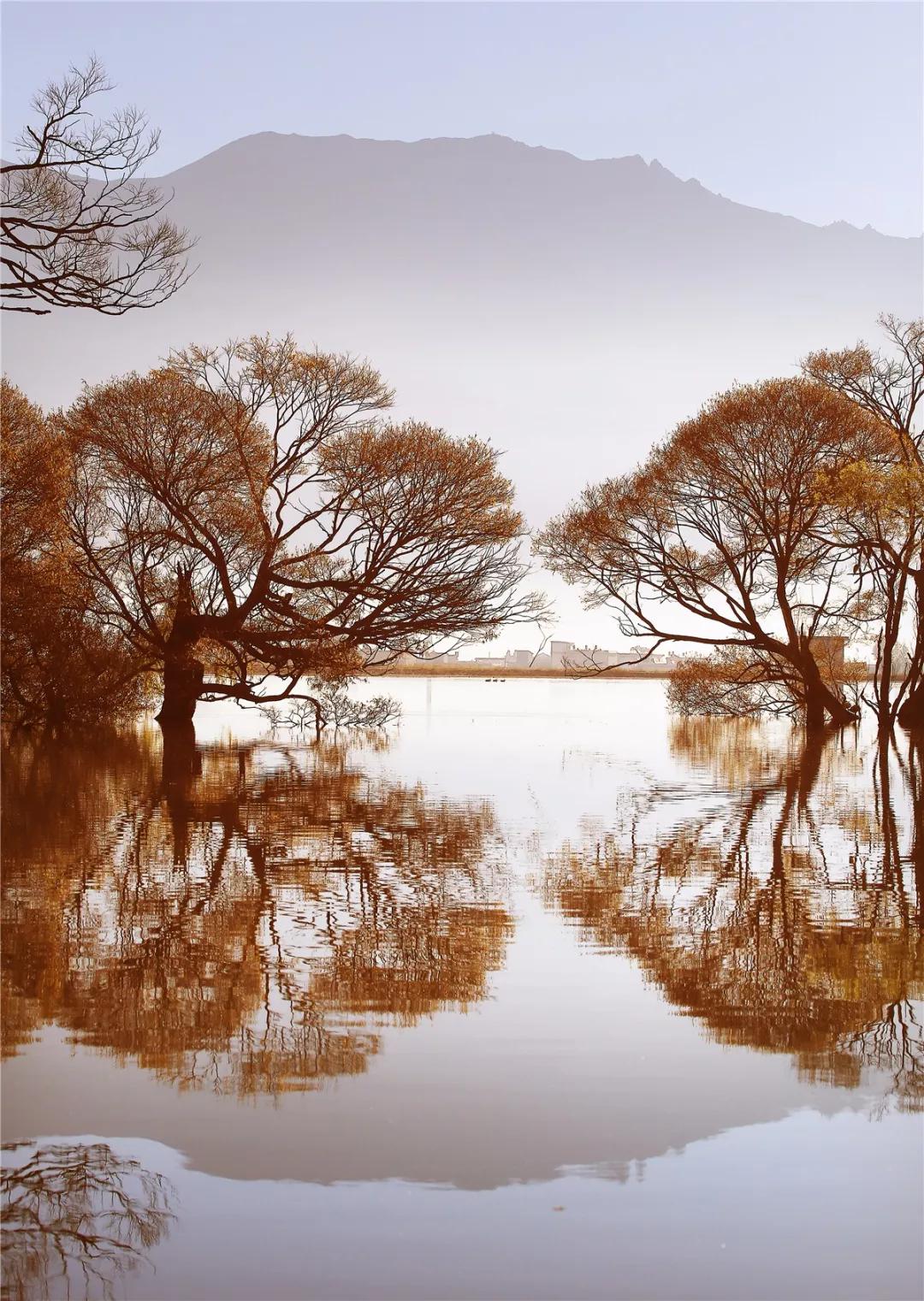 云南十大公路自驾游,云南自驾5条最佳线路图