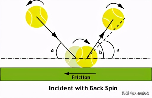 不懂乒乓球的裁判后来怎样,不懂科学造成的惨案