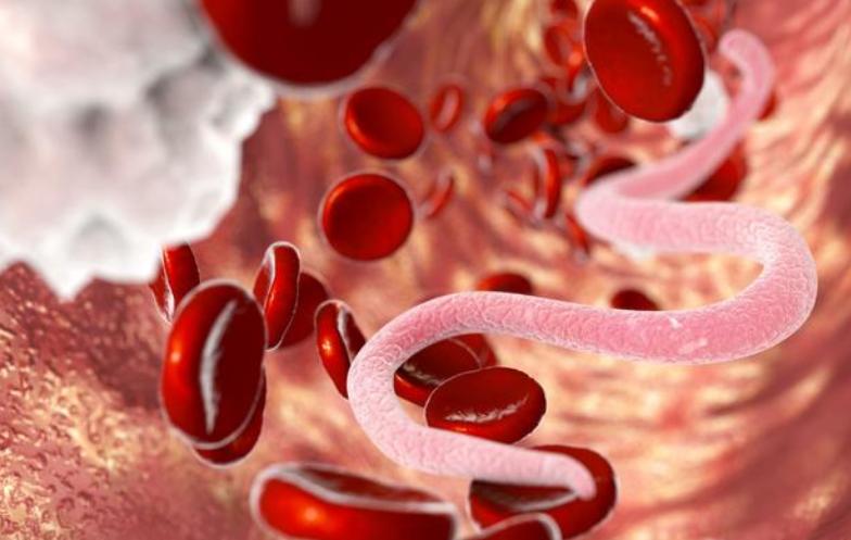 狗腹泻呕吐怎么回事,狗狗感冒呕吐怎么治疗