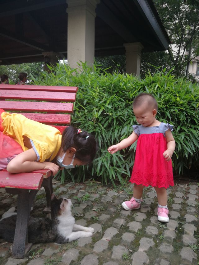 遛弯儿抖音女版,遛弯的少女