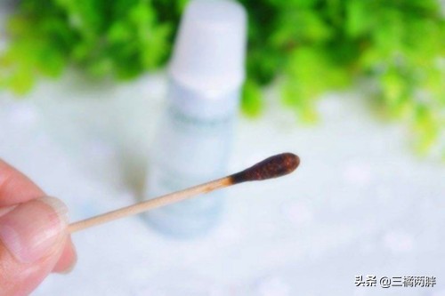 奇妙猫咪物语70天,奇妙猫咪物语