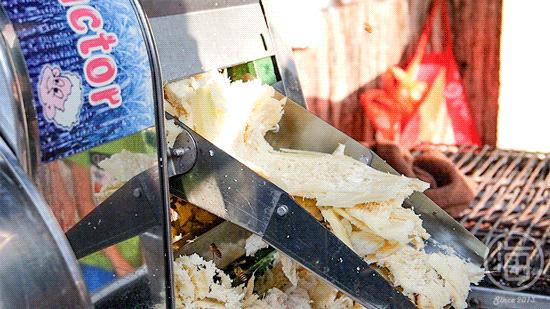 海口烤甘蔗哪里最好,海南的烤甘蔗