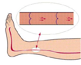 青花釉蚯蚓纹,宣德青花蚯蚓纹
