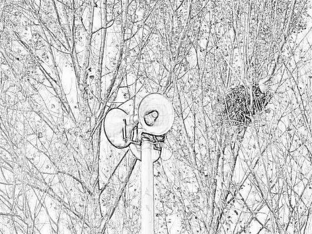 老村长醉酒广播之四咱村也要办幼儿园