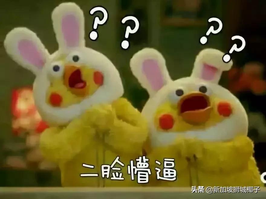 新加坡女生和中国女生的差别,怎么这么大?