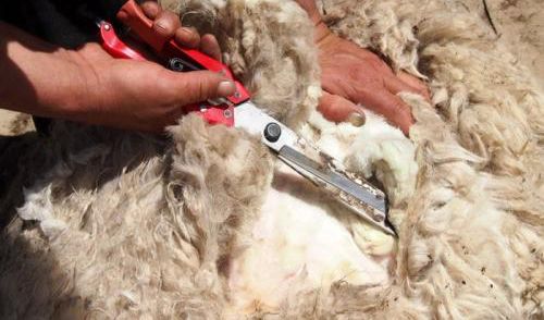 我公司的100万推广费被薅走了，互联网羊毛*党**有多可怕