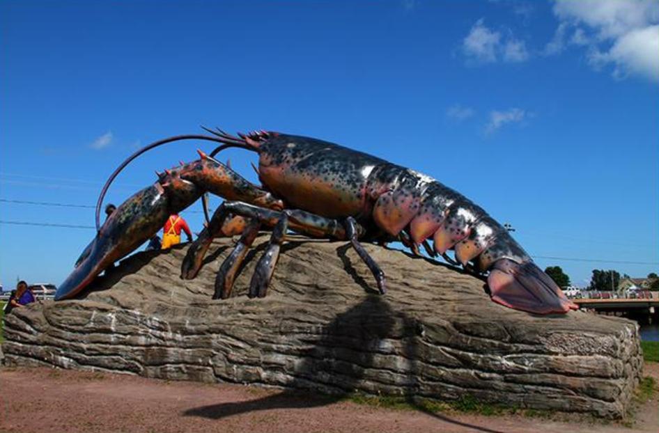 龙虾的寿命到底有多长,龙虾的寿命有多久