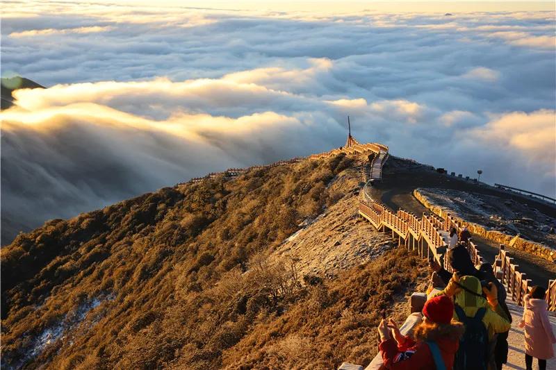 雅安旅行攻略亲子游,雅安市旅行攻略自由行路线
