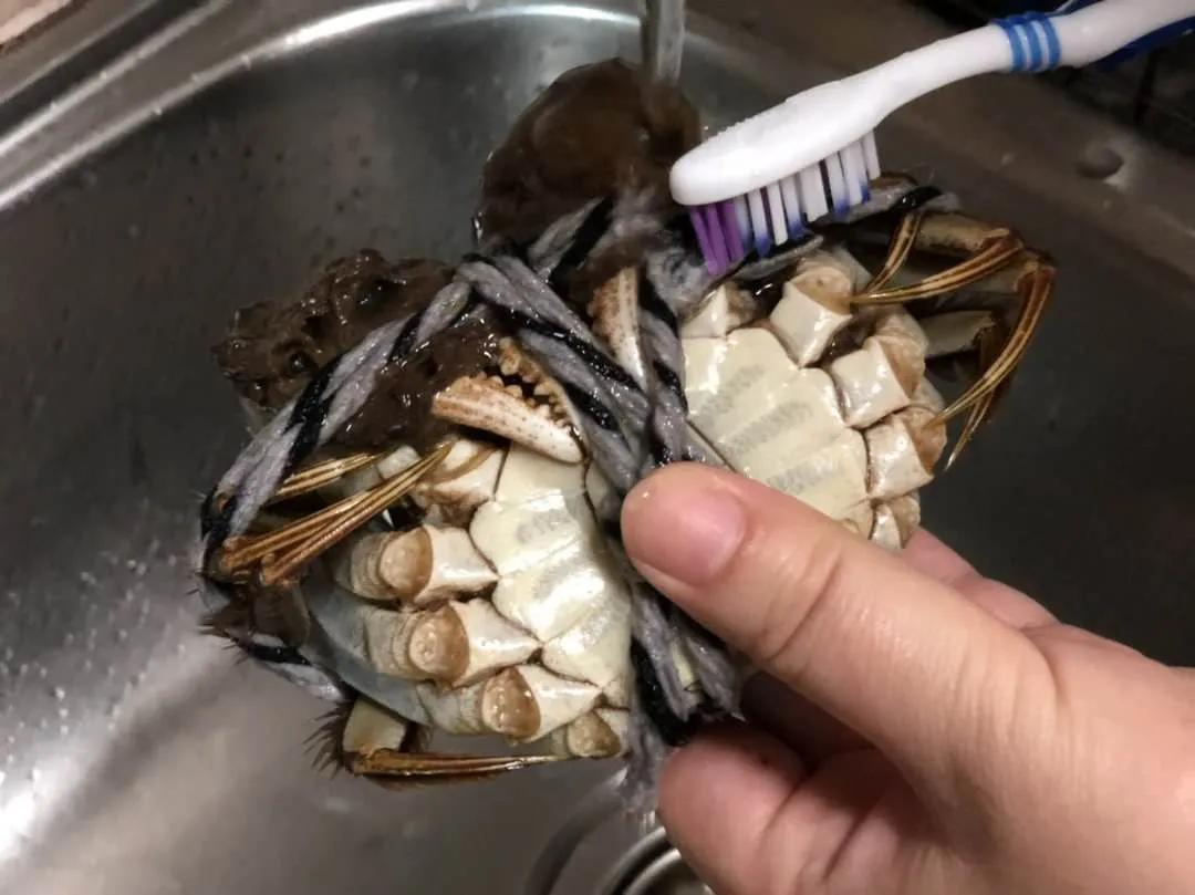 清蒸大闸蟹怎样做蟹黄不流出来,大闸蟹怎么蒸蟹黄才不散