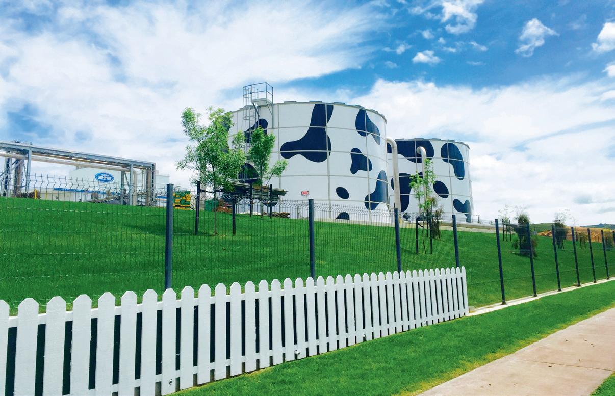 爱上内蒙古丨一杯好奶识草原