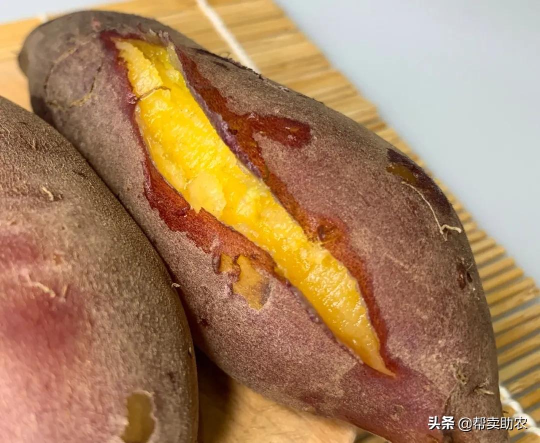 天目山小香薯软糯香甜无筋无丝,正宗临安天目山小香薯5斤25个左右